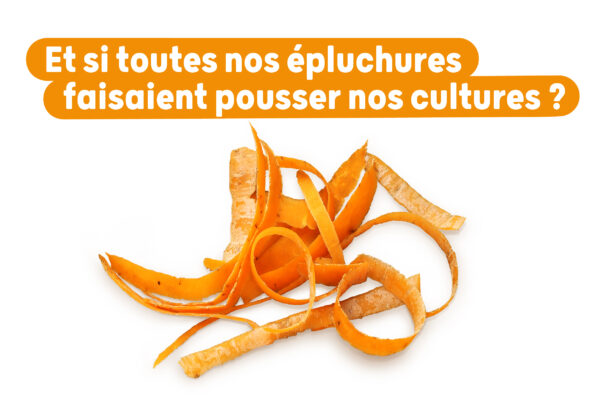 Actu site 600x400px V2