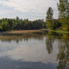 loir algues 1