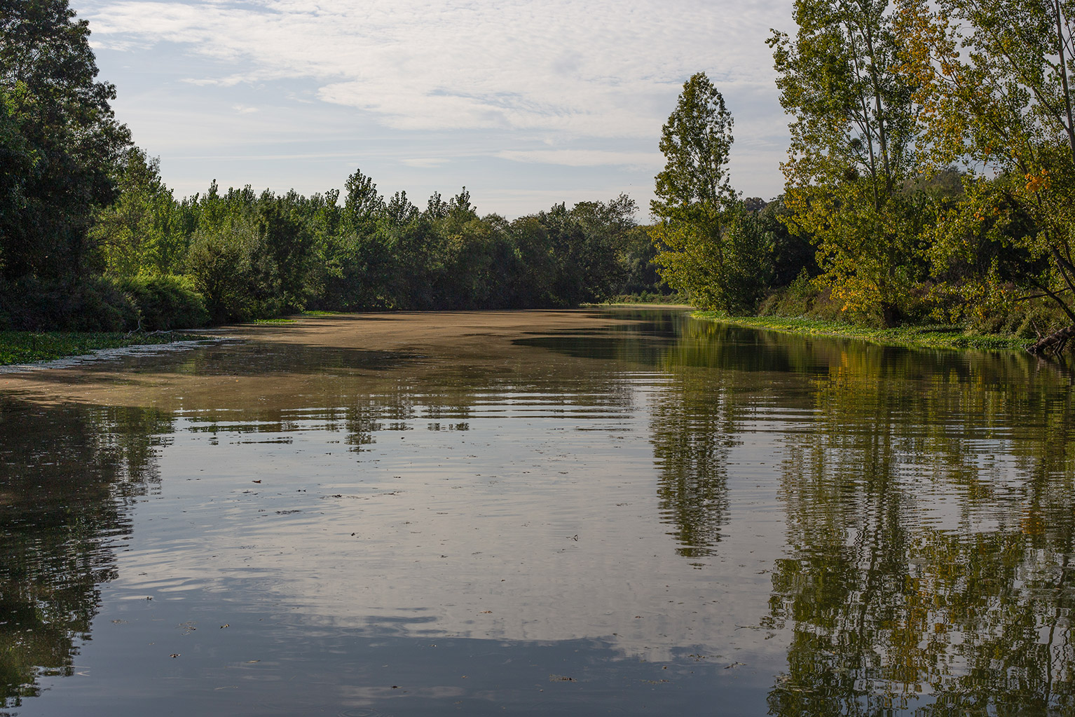 loir algues 1