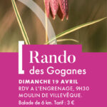 affiche rando goganes