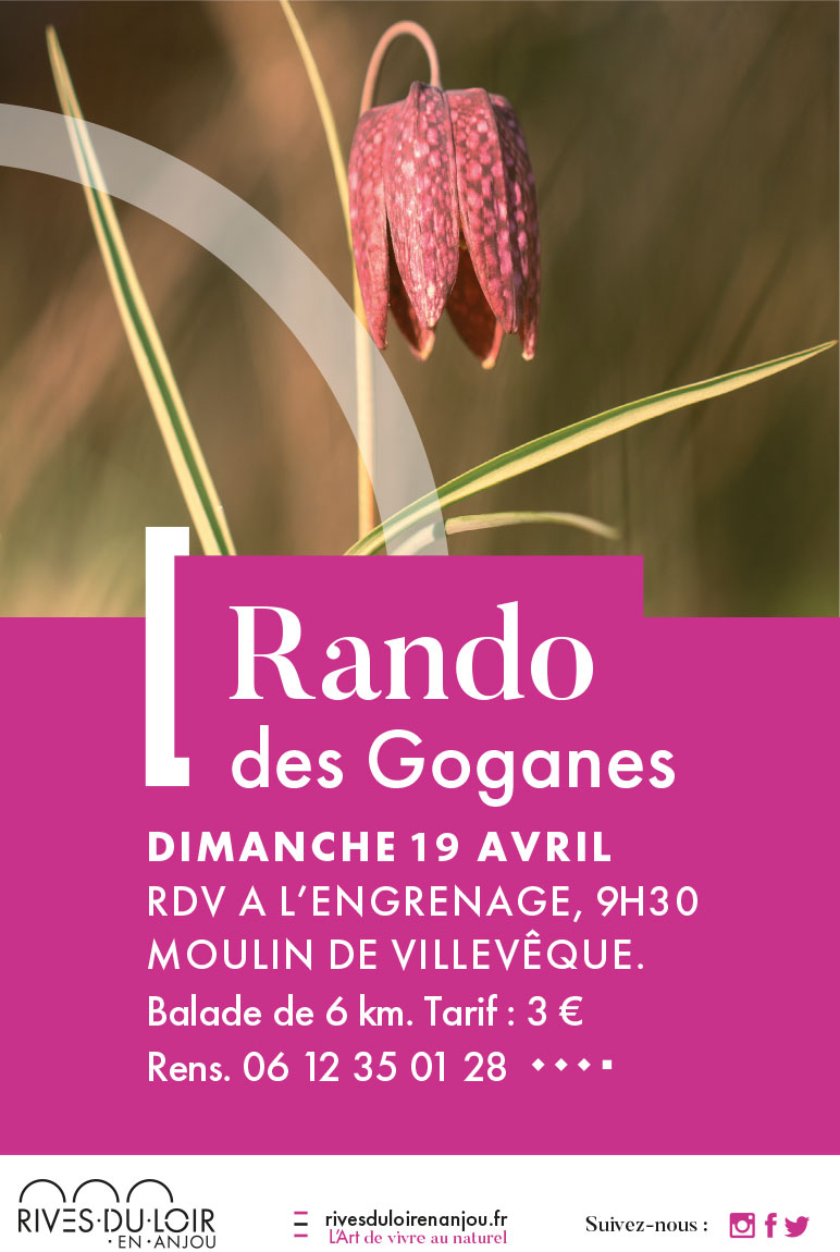 affiche rando goganes