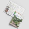 mag sept 2026