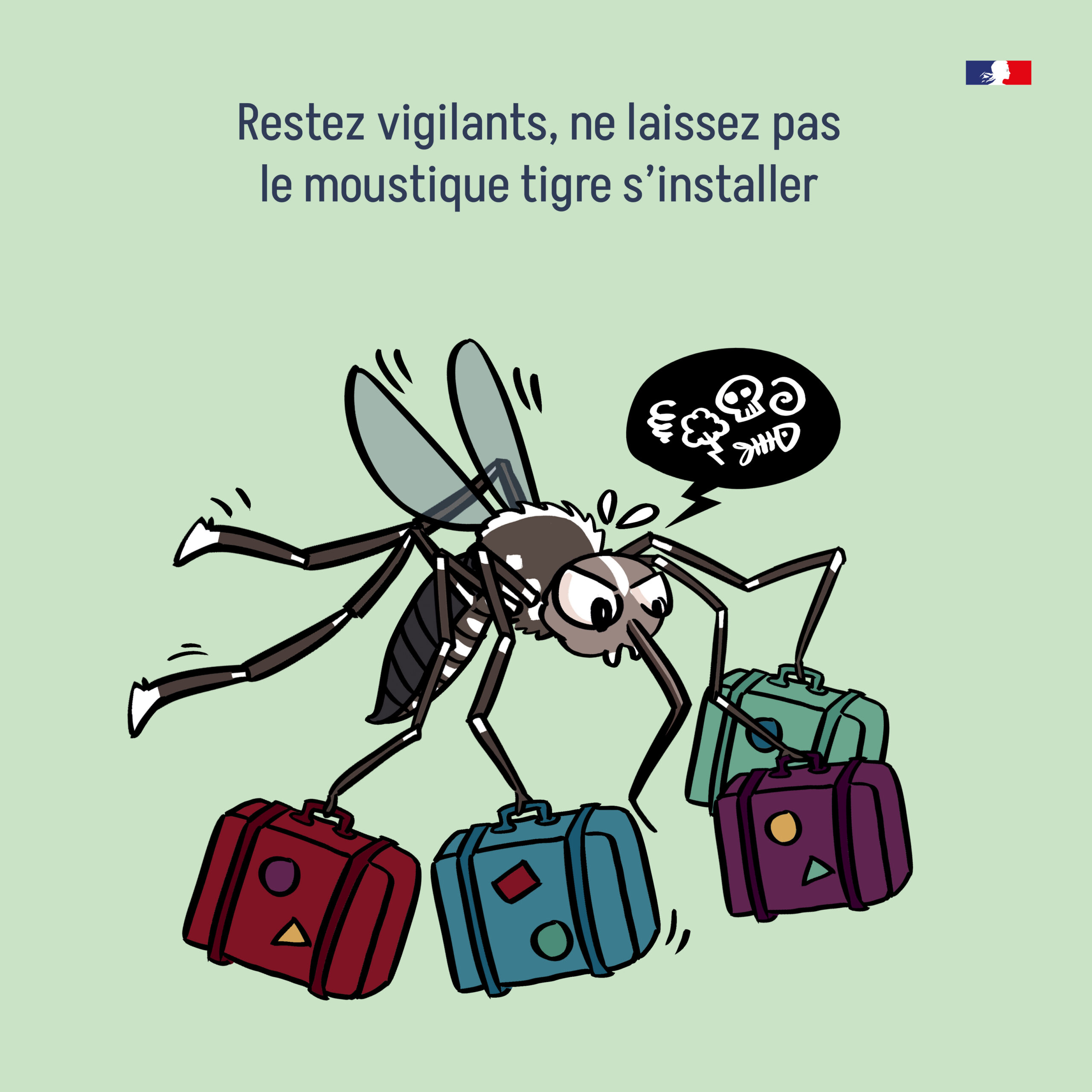 CAMPAGNE VIDEZ 1 scaled