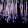 fibre 100x100