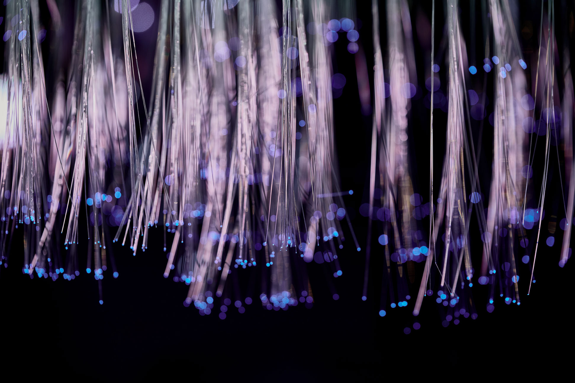 fibre